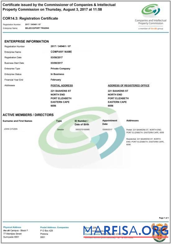 Realistic South Africa Registration Certificate example